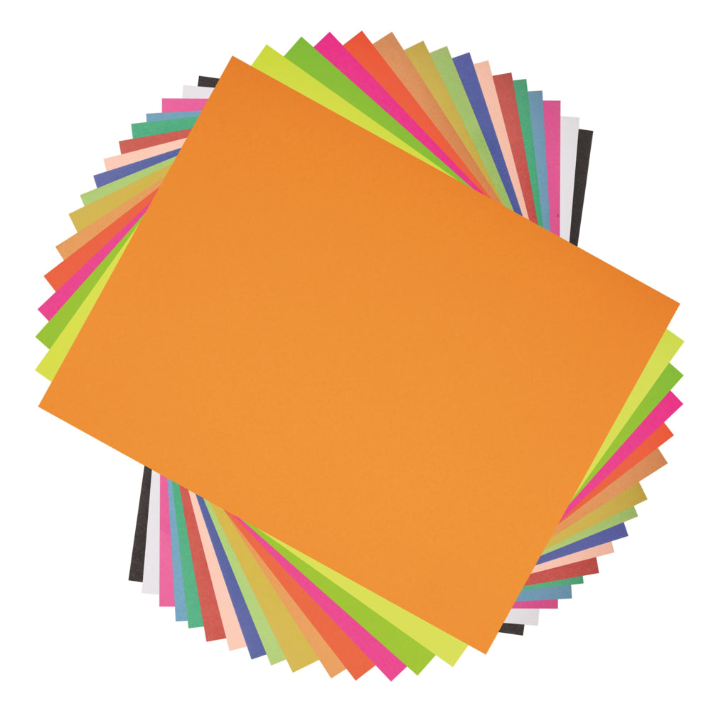 North American Paper 2 Ply Bristol - 22" x 28" - Assorted - 48 Sheets