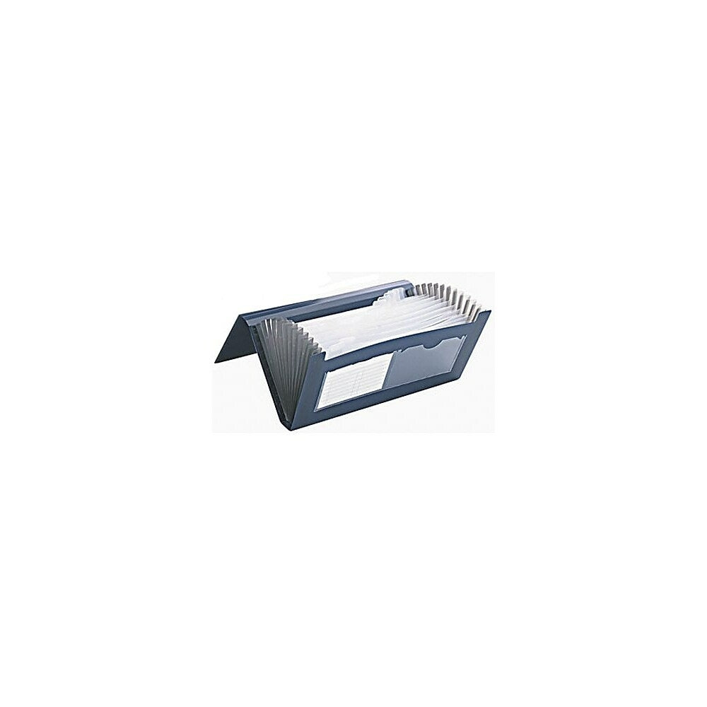 Staples Poly Expanding File - 13-Pocket - Cheque - Blue