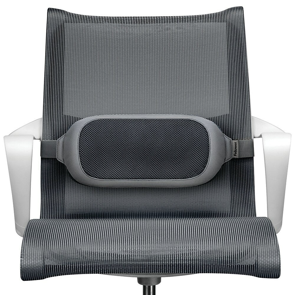 Coussin lombaire Fellowes I-Spire, gris (9311603)