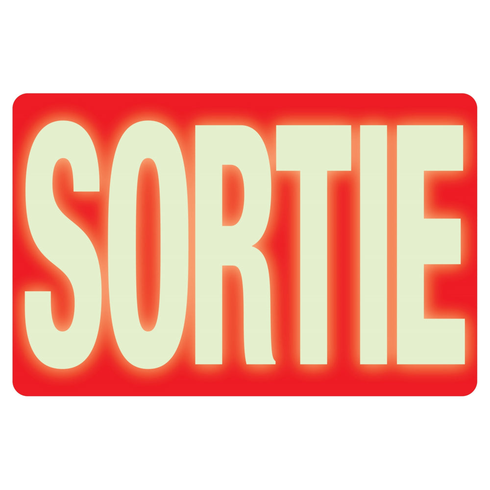 Panneau de sortie phosphorescent avec titre - 20,3 x 30,5 cm - Français