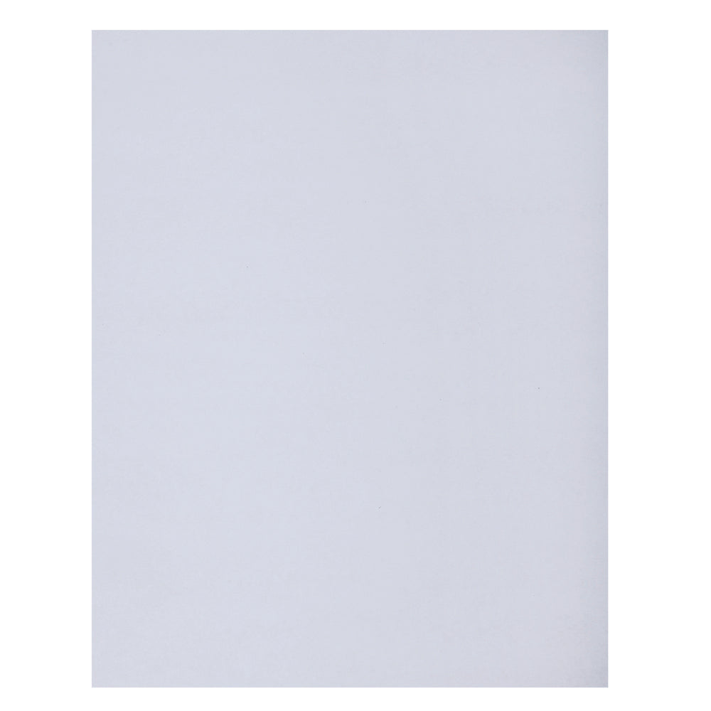 Carton Bristol North American Paper Inc. – 2 plis – 18" x 24" – Blanc – Paquet de 24