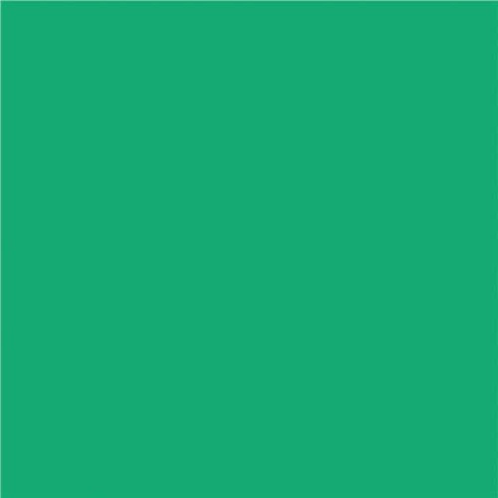 Papier de construction North American Paper Inc. – 12" x 18" – Vert – 48 feuilles