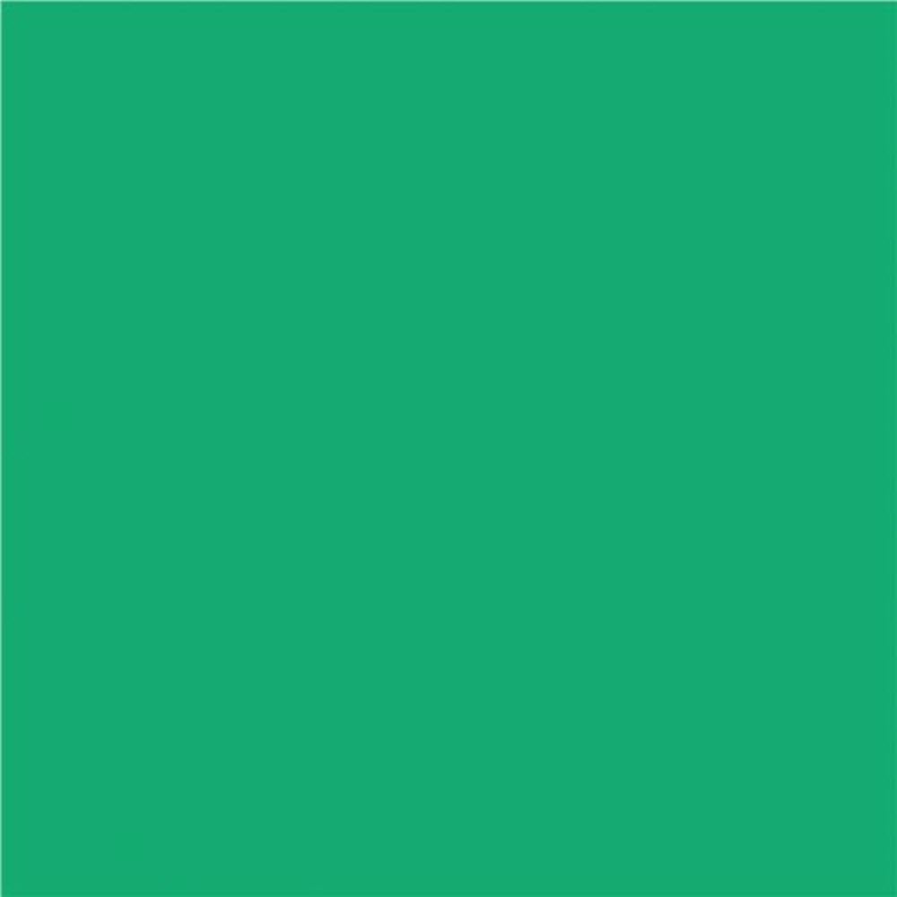 Papier de construction North American Paper Inc. – 9" x 12" – Vert émeraude – 48 feuilles