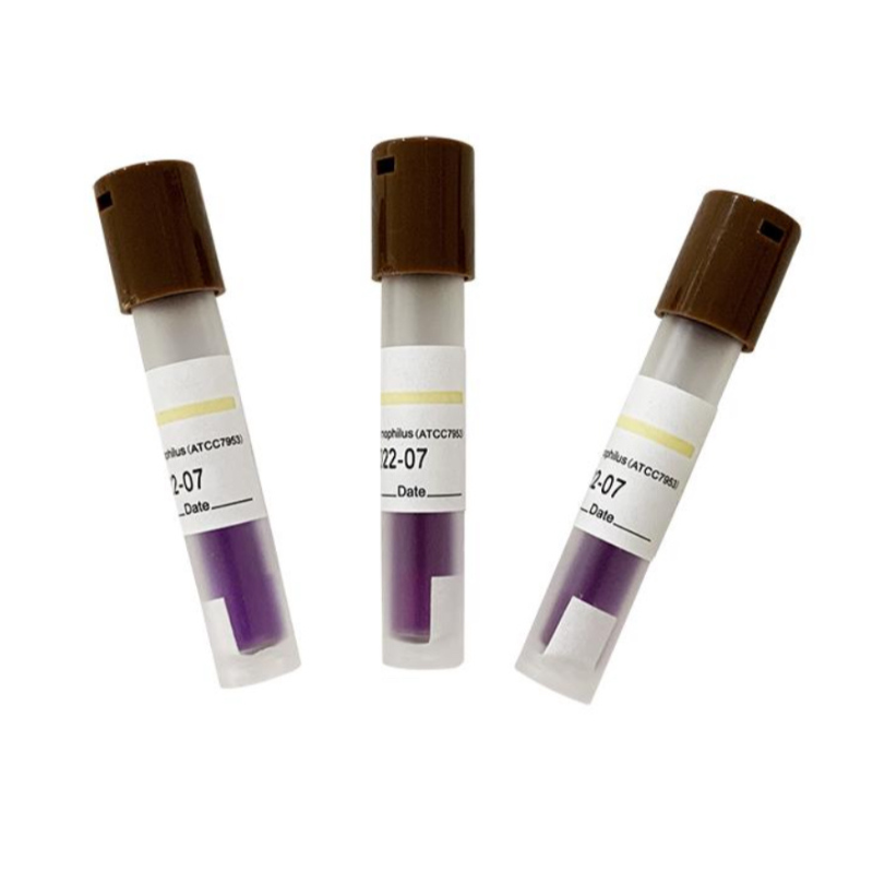 Indicateur biologique D2D pour stérilisation à la vapeur - 24 heures