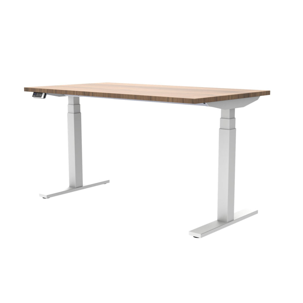 Gry Mattr + ergoCentric 54" Longevity Electric Height Adjustable Desk