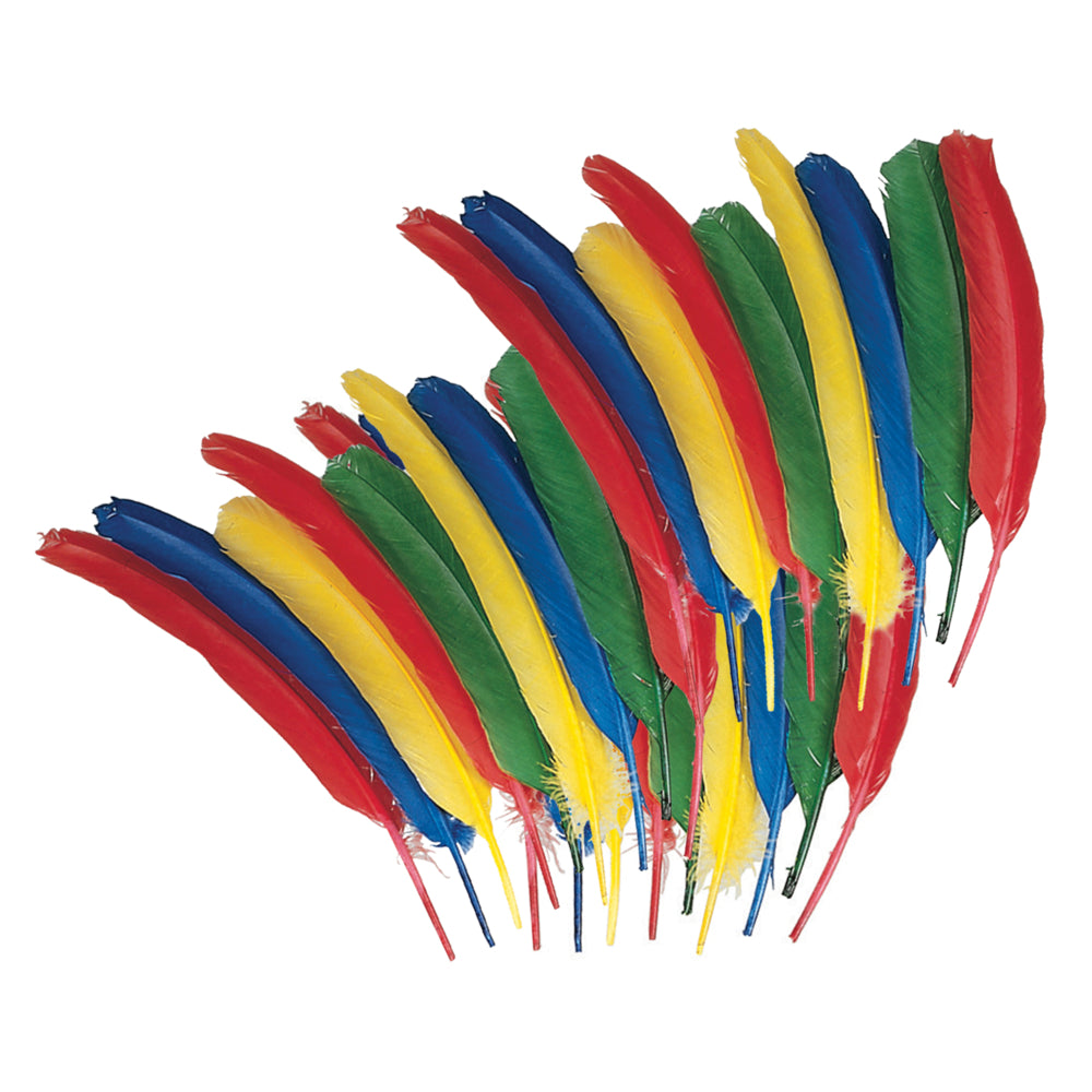 Plumes de plume Creativity Street, couleurs assorties, 30,5 cm, paquet de 24