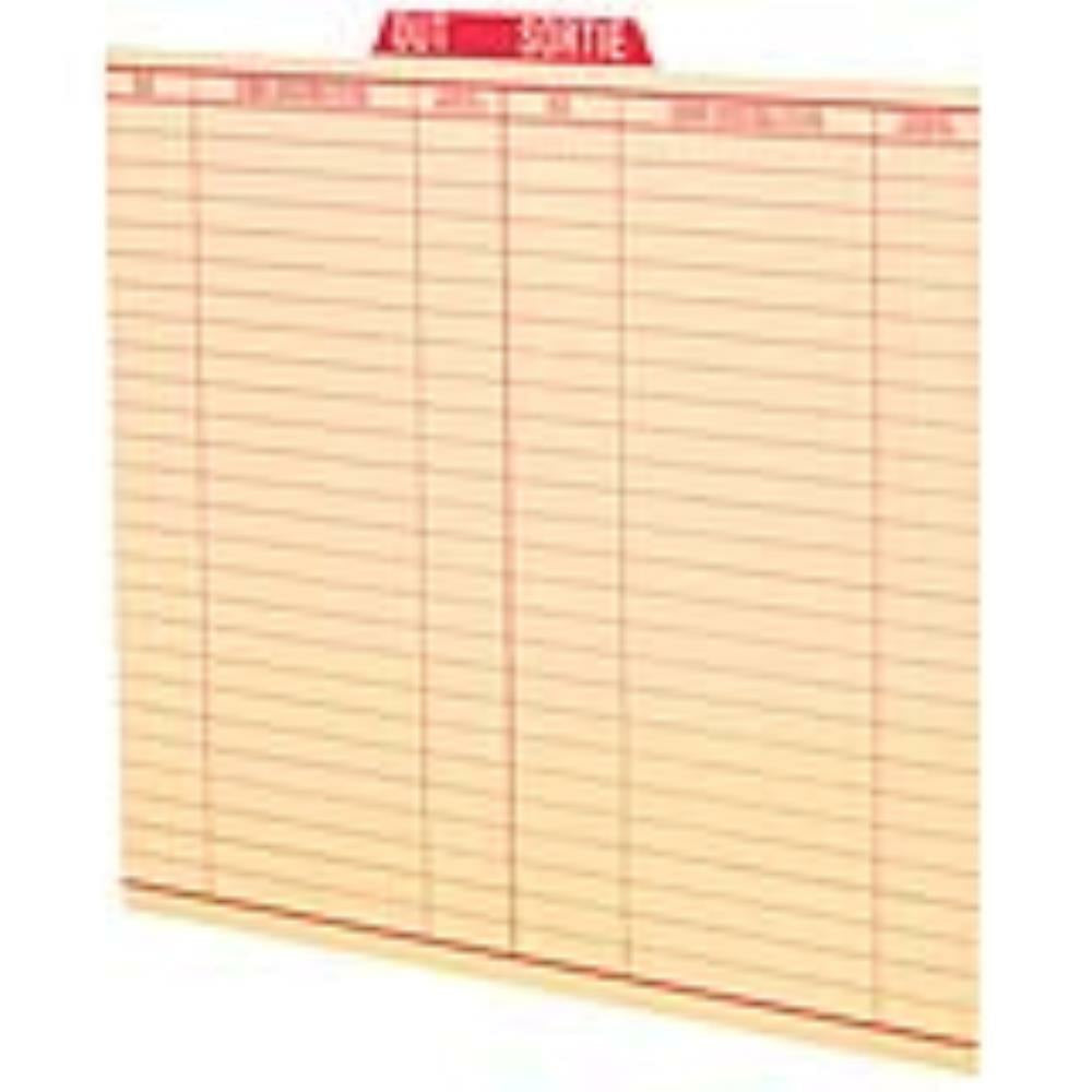 Pendaflex File Out Guides - Letter Size - 25 Pack