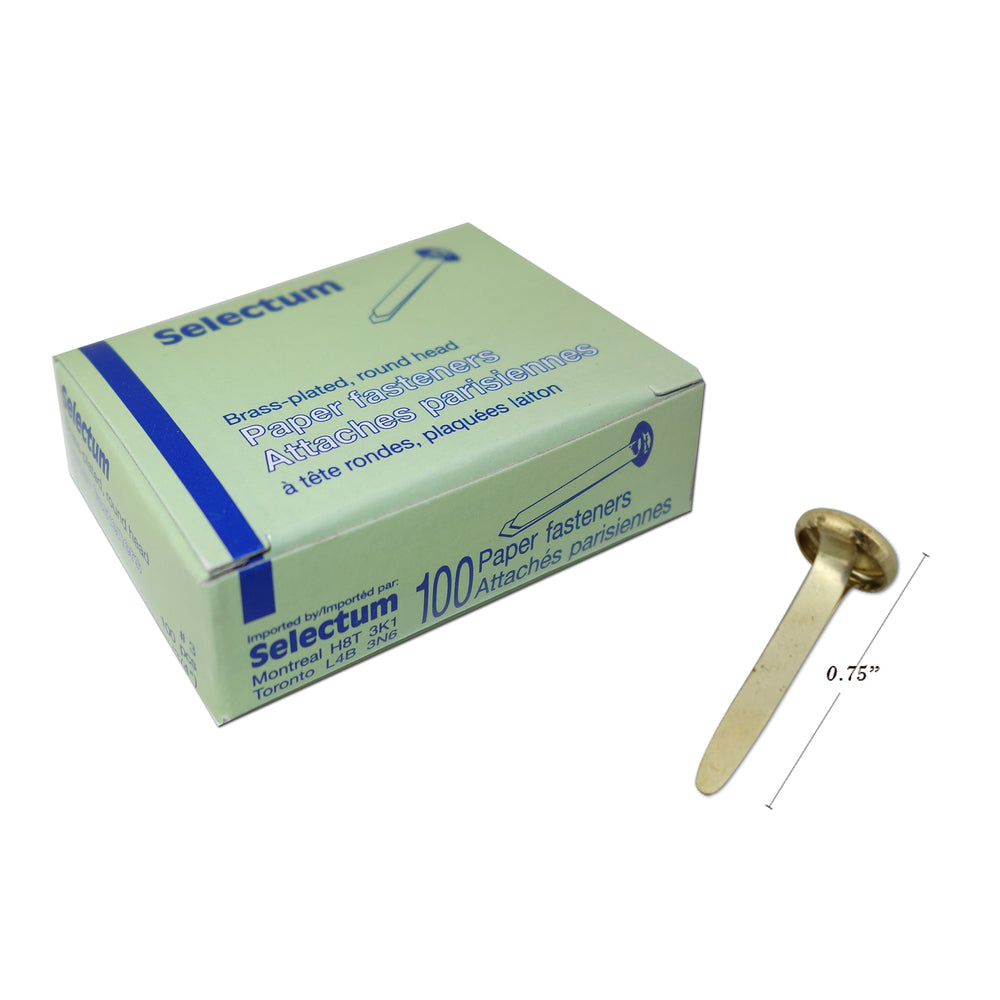 Selectum Paper Fastener - Brass Plated - Round Head - 3/4" - 100 Pack