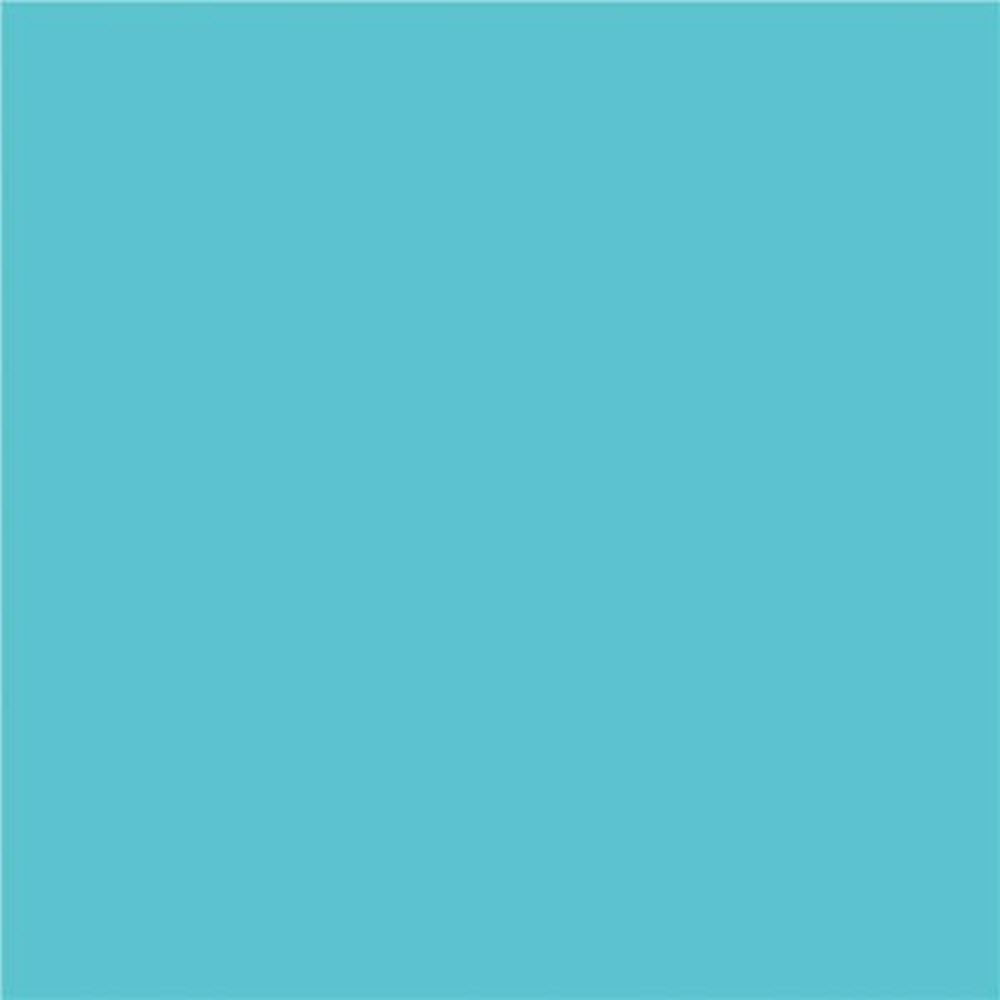 Papier de construction North American Paper Inc. – 12" x 18" – Bleu clair – 48 feuilles