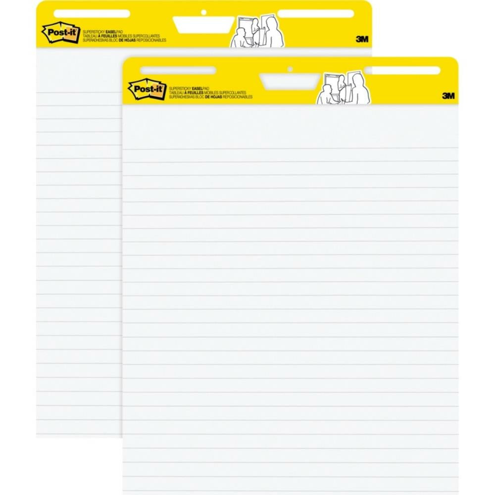 Flip chart paper pad, 25 x 30 '', ruled, 30 sheets, 2 pads / pkg D2D