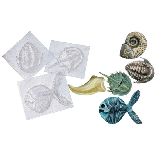 Roylco Fossil Molds, Assorted Designs, clear, 5/Set