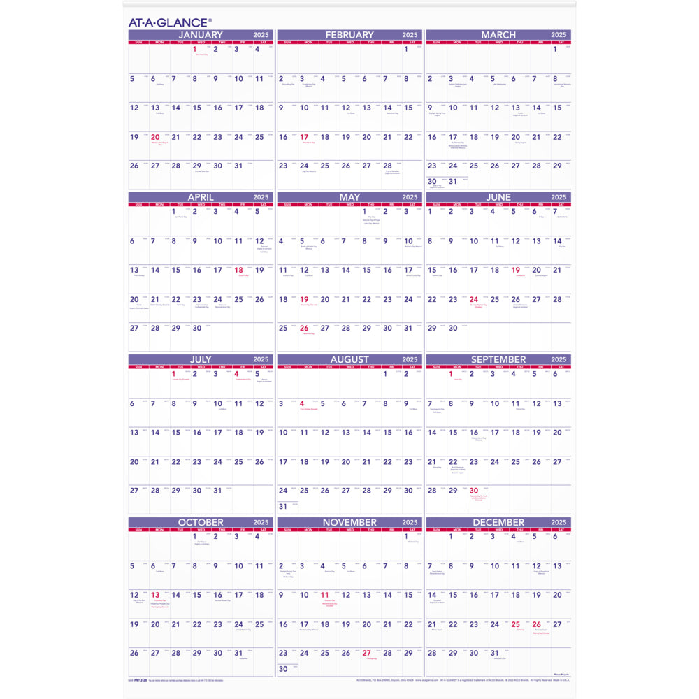 AT-A-GLANCE 2025 Yearly Wall Calendar - 36" H x 24" W - English