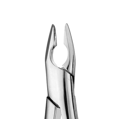 1 Upper Anterior Apical Forceps, Vertical Extraction for Incisors & Cuspids