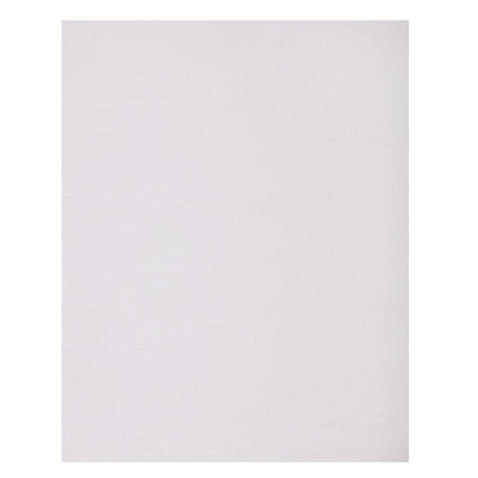 North American Paper 2 Ply Bristol - 22" x 28" - White - 48 Sheets