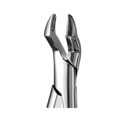 10S Forceps, Upper Molar Extraction Forceps