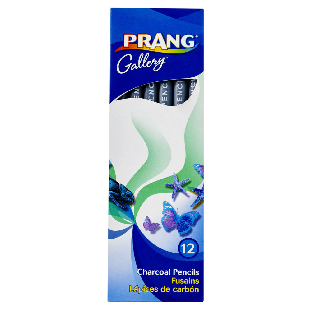 Prang Charcoal Pencils - Medium Core - Assorted Colours - 12 Pack