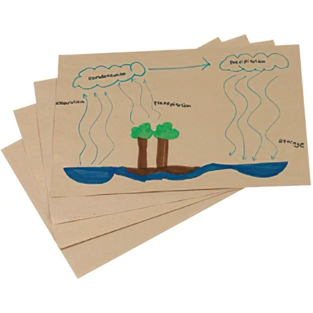 Ecology Natural Kraft Sheets, Lightweight, 30.5cm x 45.7cm, 50 Sheets/pkg
