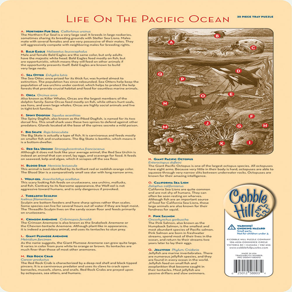 Outset Media 35-Piece Life on The Pacific Ocean Tray Puzzle - 25.40 x 35.56 cm