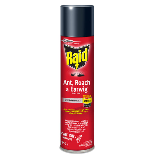 Raid Ant, Roach & Earwig Insect Killer  - 350g