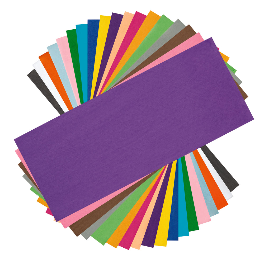 North American Paper Inc. Tissue Paper - 22" x 30" - Assorted - 24 Sheets