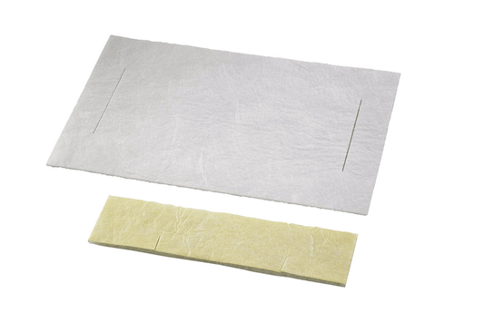 MIDWEST Automate Absorption Pads Pk/6 #380520 DENTSPLY