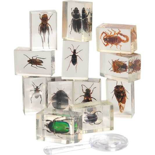 Encased Insects