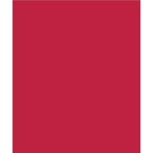Papier de construction North American Paper Inc. – 12" x 18" – Écarlate – 48 feuilles
