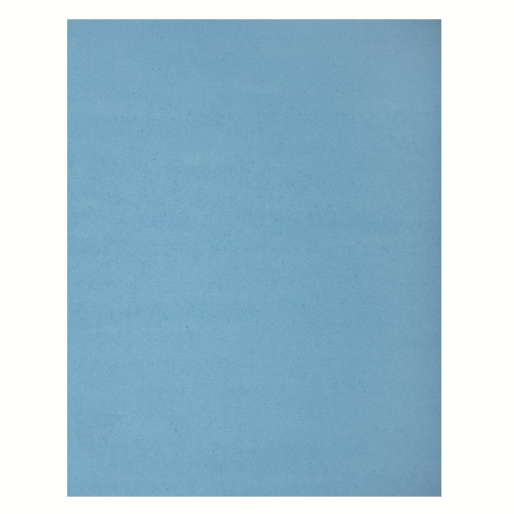 Papier Bristol 4 plis nord-américain - 55,9 x 71,1 cm - Bleu clair - 48 feuilles