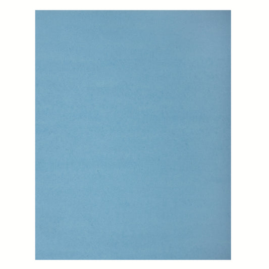 North American Paper 4 Ply Bristol - 22" x 28" - Light Blue - 48 Sheets