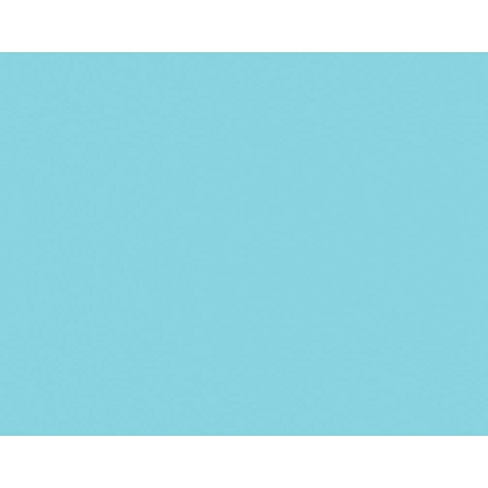Royal Brites Poster Board - 22" x 28" - Light Blue