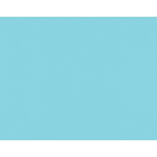 Tableau d'affichage Royal Brites - 22" x 28" - Bleu clair