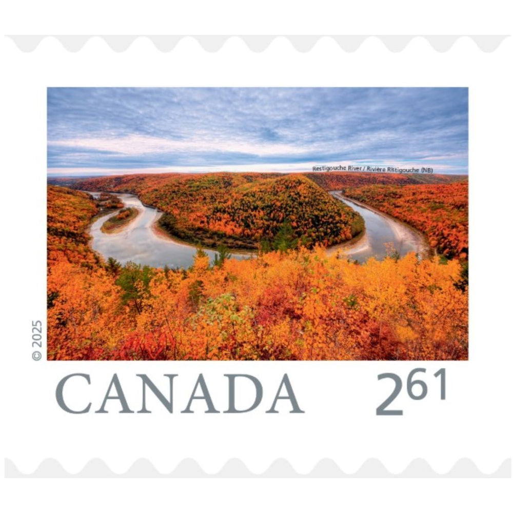 Canada Post Canadian Oversize Postage - 6 Pack
