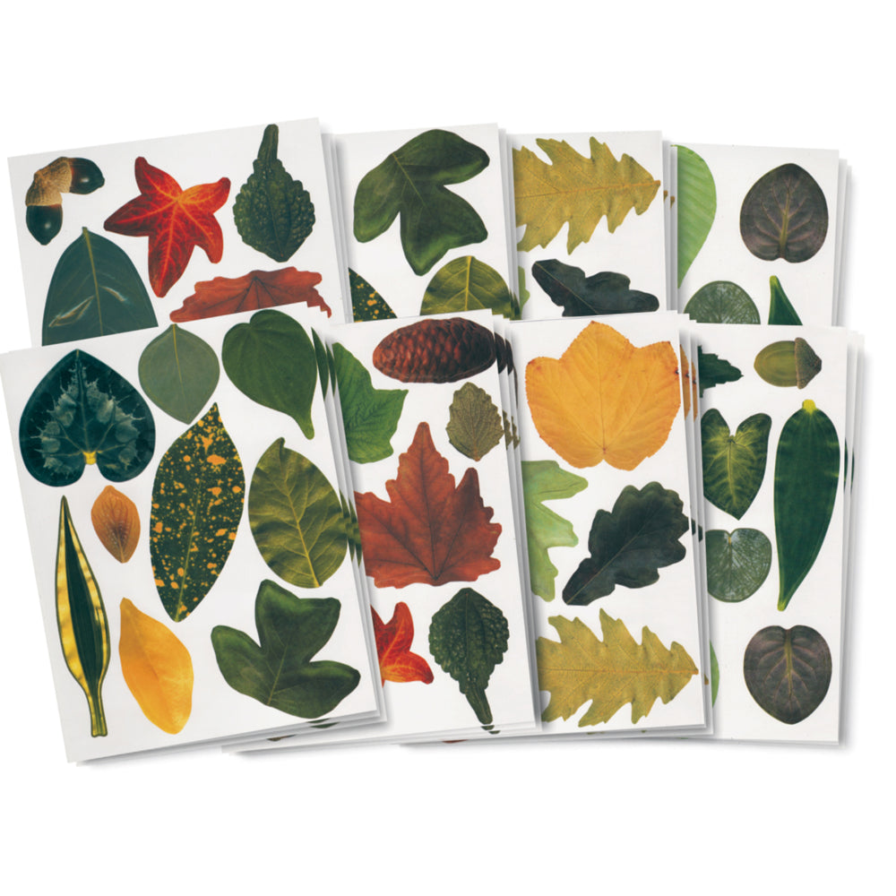 Roylco Paper Leaves