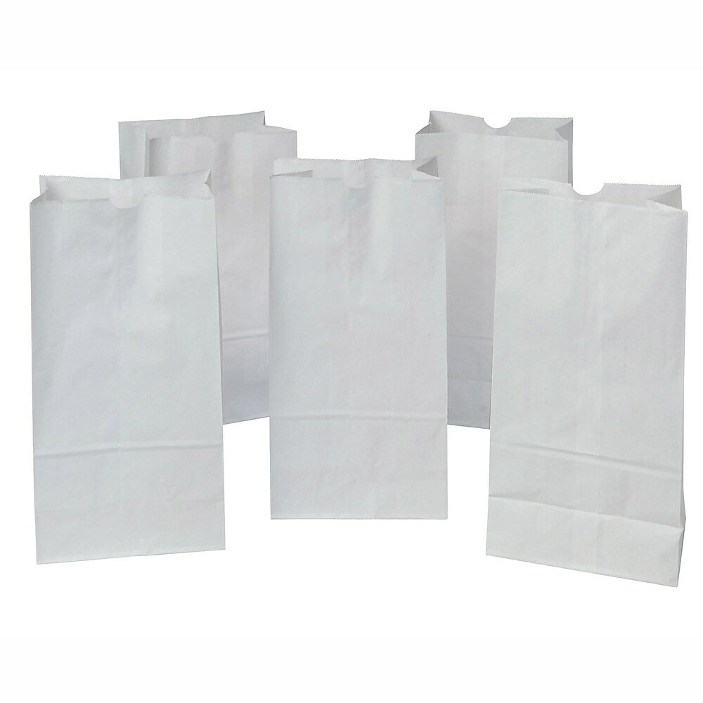 Rosenbloom Grocery Bag - Paper - DD30 - #06 - White - 500 Pack
