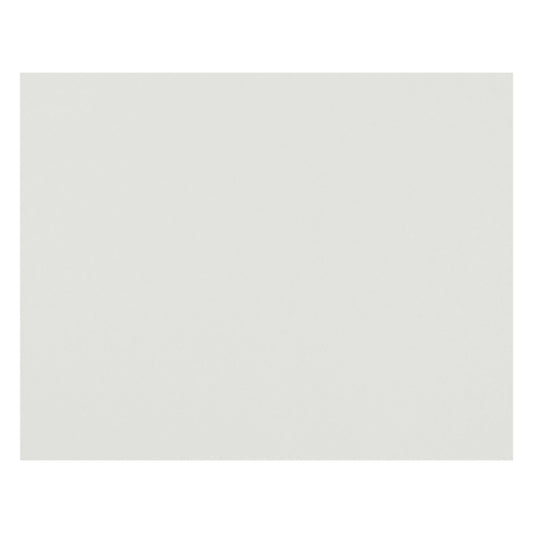 Pacon 6-Ply Railroad Board - 22" x 28" - White - 100 Sheets/Pack