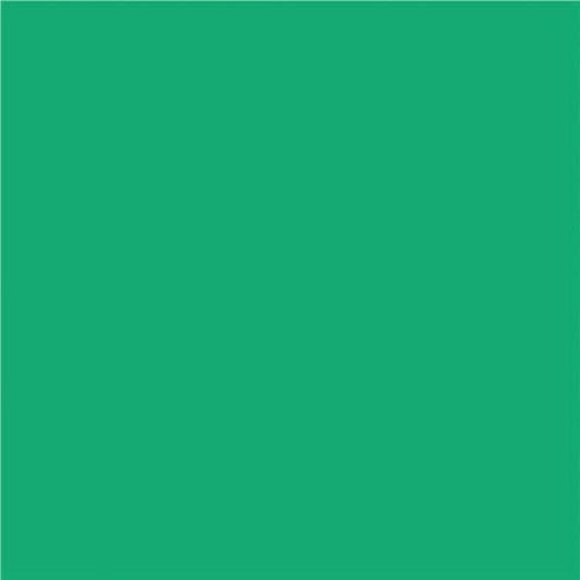 Papier de construction North American Paper Inc. – 12" x 18" – Vert – 48 feuilles