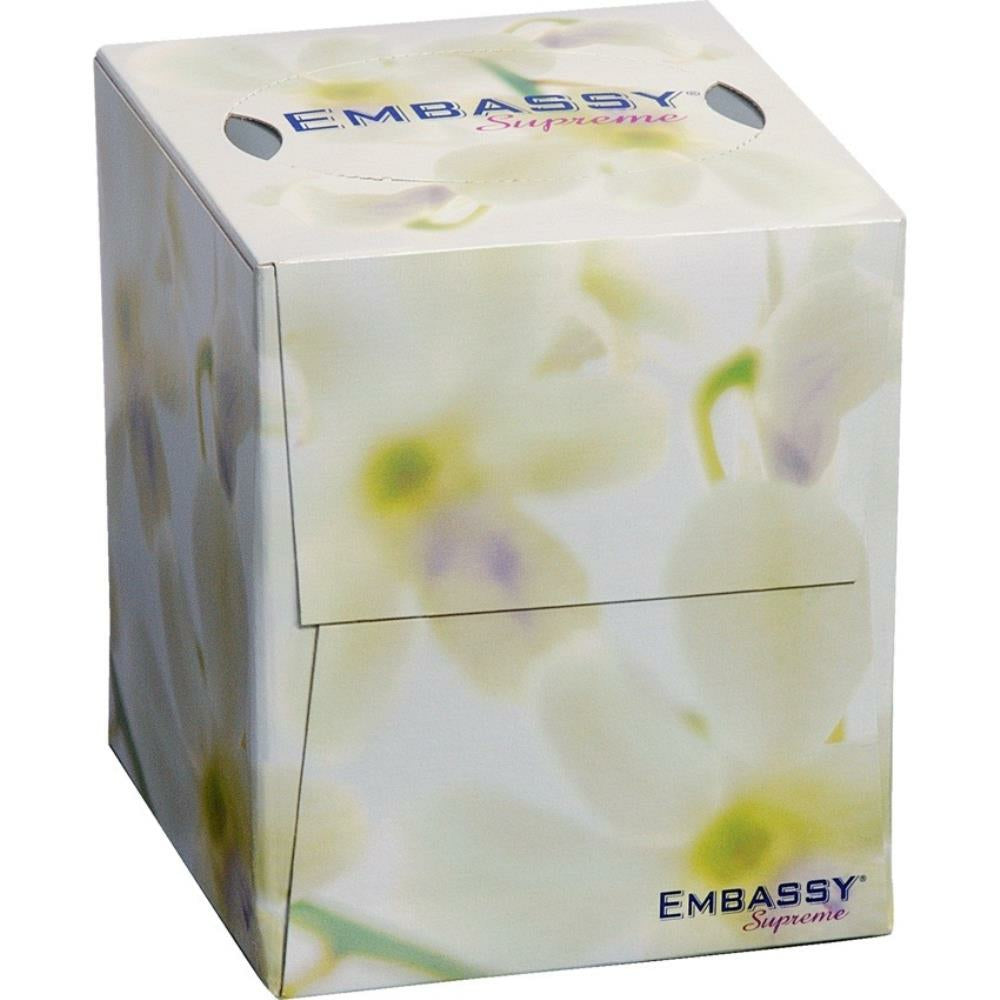 Mouchoirs en papier 2 plis, 100 feuilles - Paquet de 36