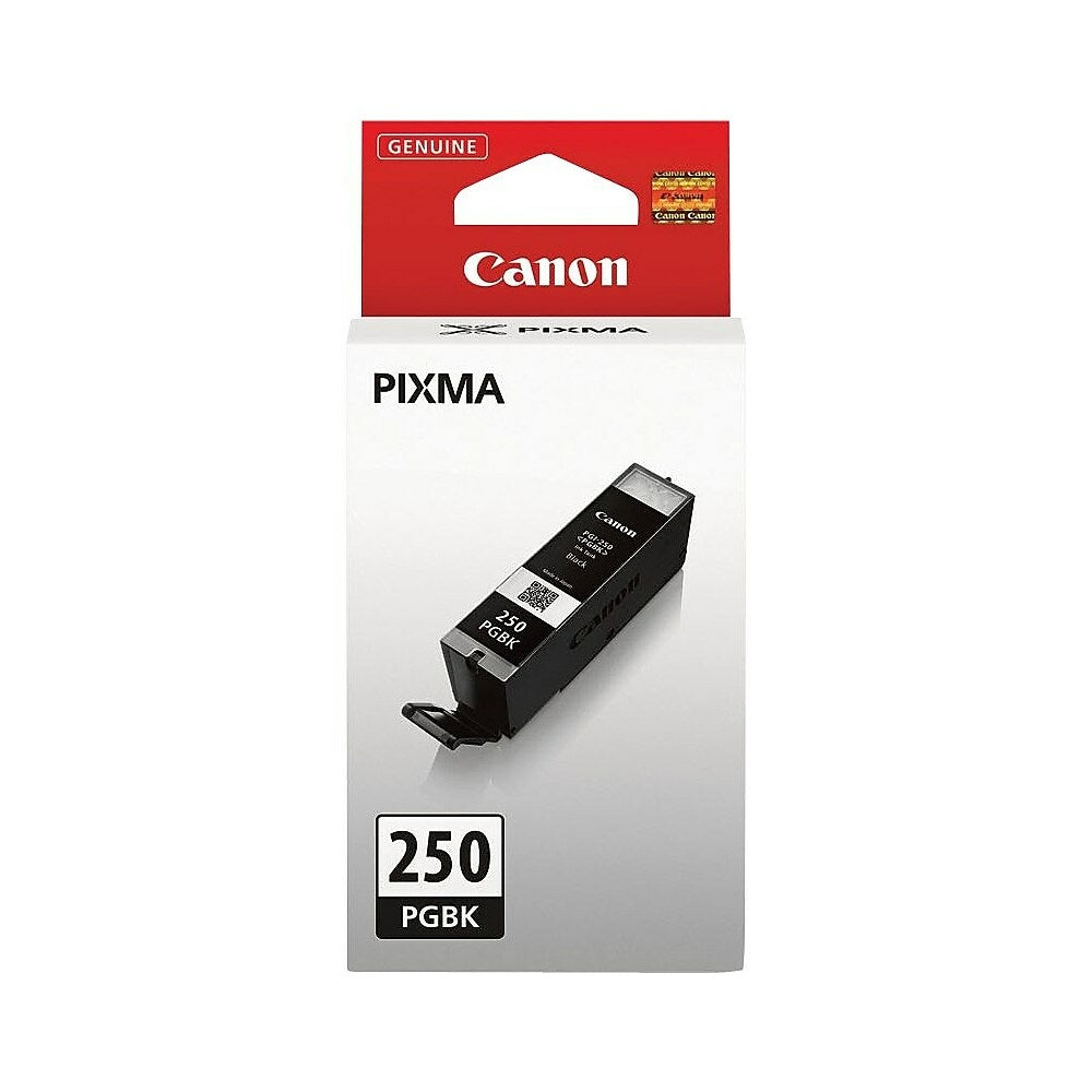 Réservoir d'encre noire Canon PGI-250 (6497B001)