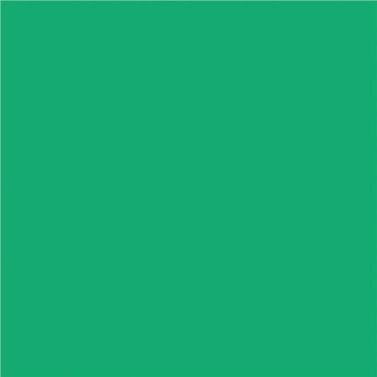 Papier de construction North American Paper Inc. – 9" x 12" – Vert émeraude – 48 feuilles