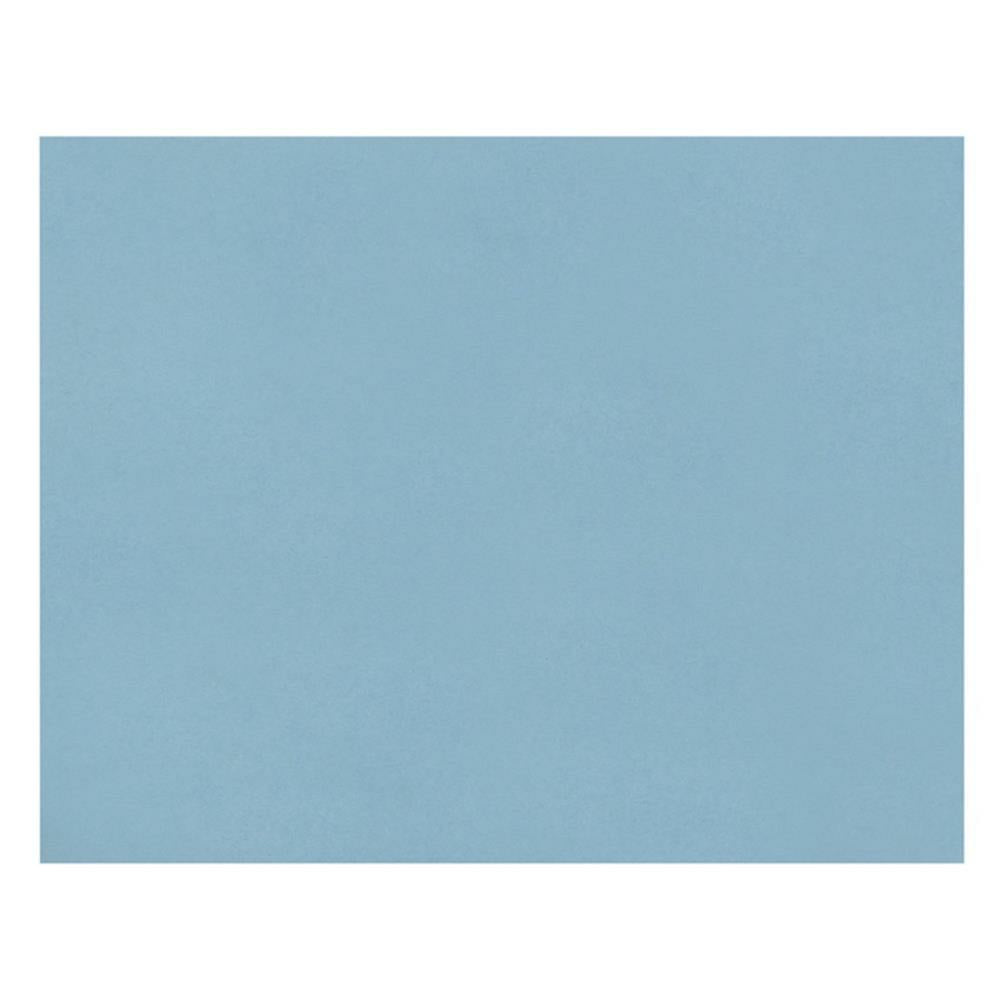Pacon 4-Ply Railroad Board, Light Blue, 55.9cm x 71.1cm, 25 Sheets/pkg