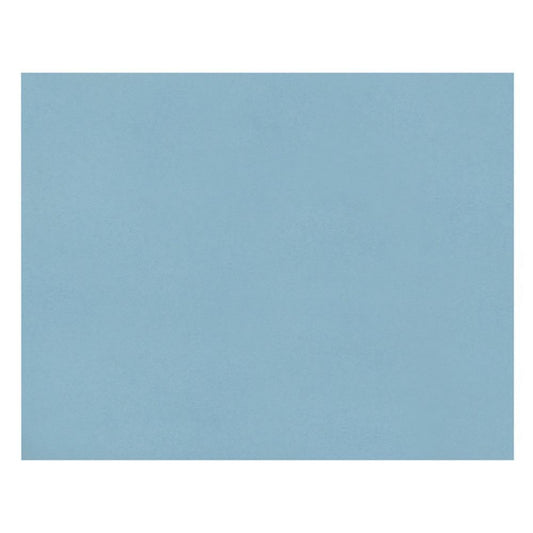 Carton de chemin de fer Pacon 4 plis, bleu clair, 55,9 cm x 71,1 cm, 25 feuilles/paquet