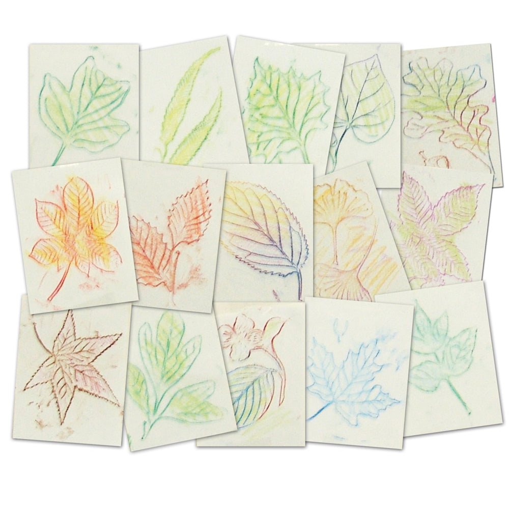 Plaques de frottement de feuilles Roylco, lot de 16