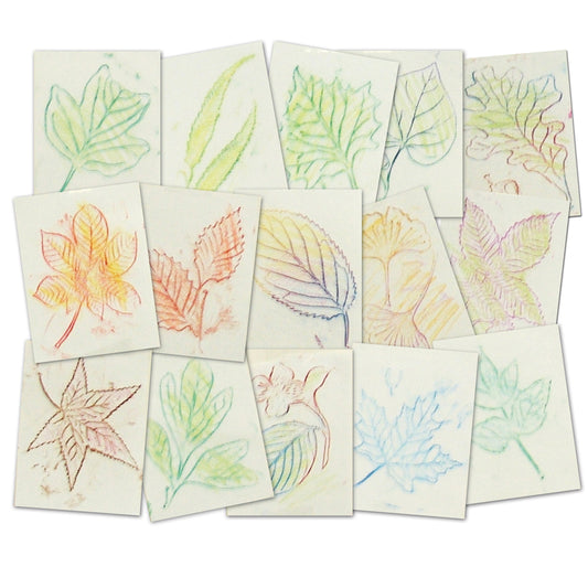 Plaques de frottement de feuilles Roylco, lot de 16
