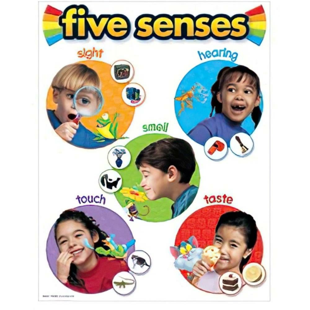 TREND Five Senses Learning Chart