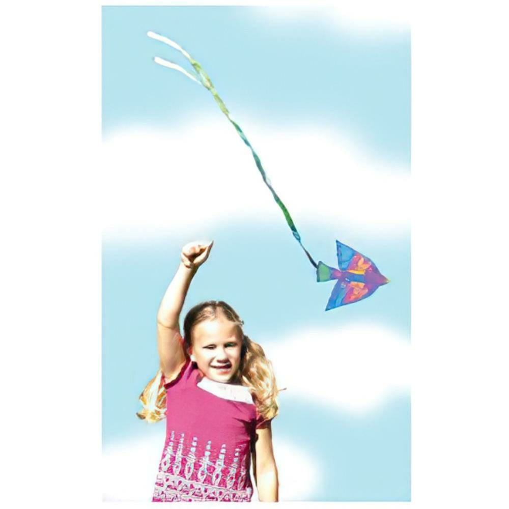 Kit de cerf-volant pour oiseaux Roylco