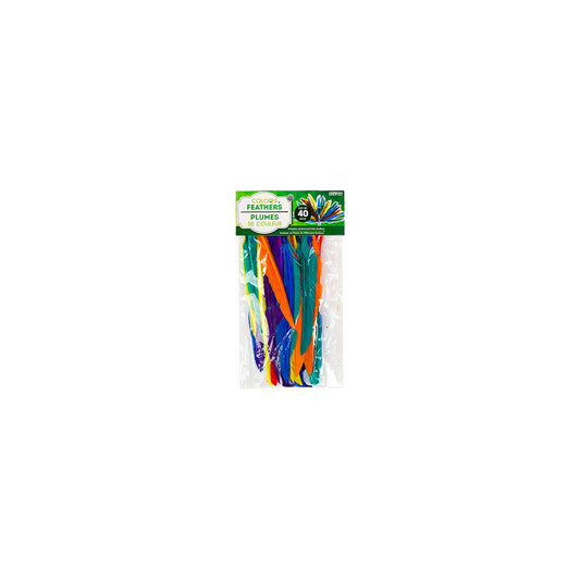 Horizon Group USA Feathers - Assorted Colours - 40 Pack