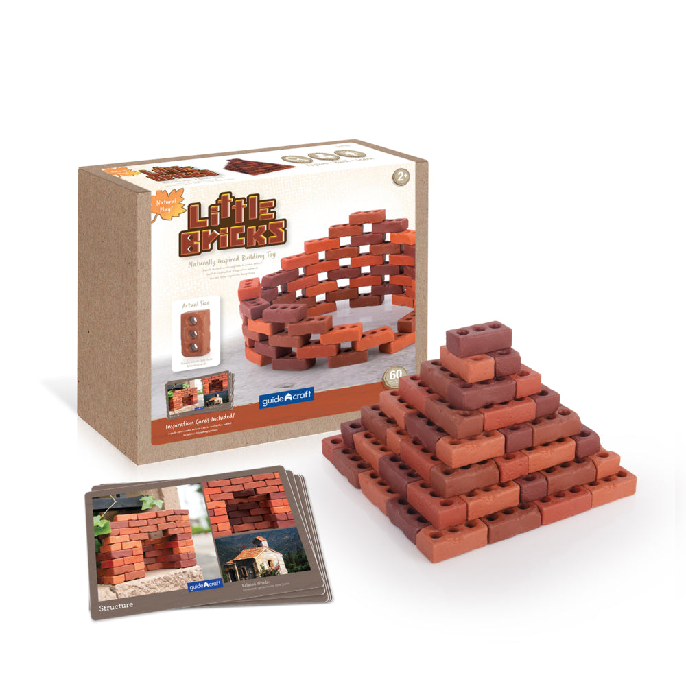 Ensemble de 60 petites briques Guidecraft