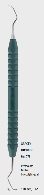 COULEURS ANATOMIQUES 7/8 Gracey #DB383R Vert