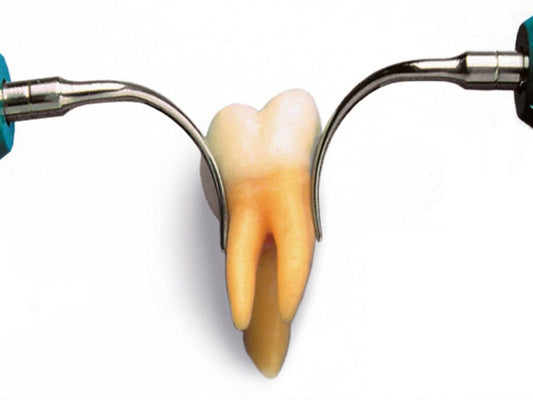 CAVITRON INSERT 25K FSI-SLI ASTD 10L&amp;R PACK DE 2 80400 (DENTSPLY)