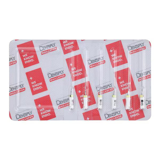 FLEXOFILE READYSTEEL 21mm (6pk) (DENTSPLY)